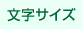 文字の大きさ